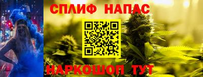 дживик Пенза