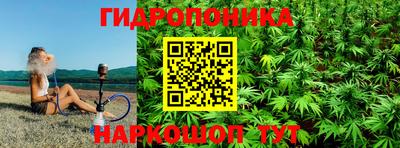 стафф Партизанск