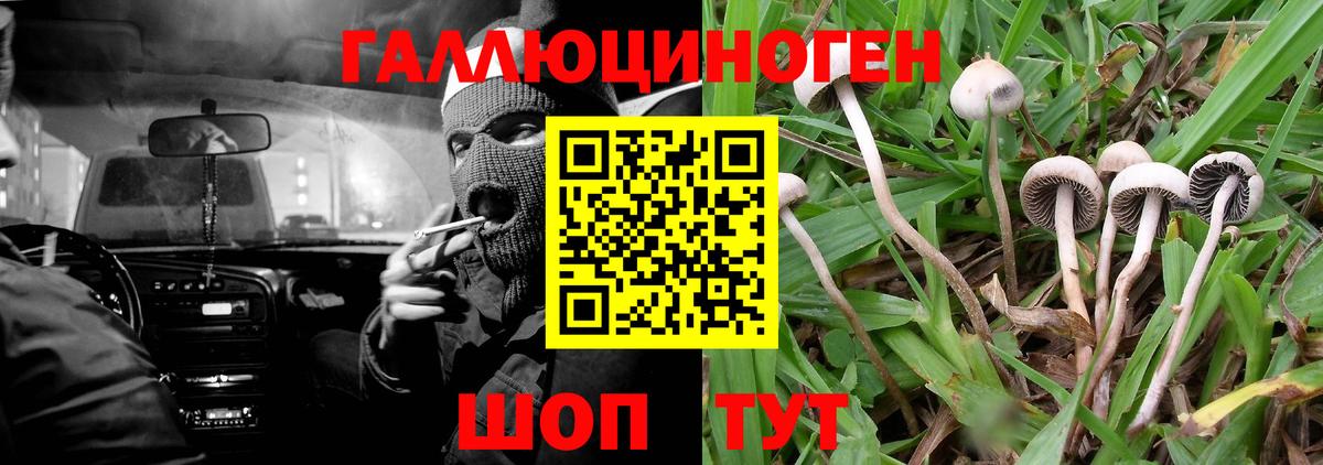 Тавда  Псилоцибиновые грибы Psilocybe  Галлюциногенные грибы Magic Shrooms  Вход с VPN 